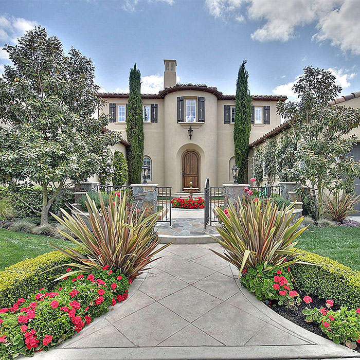italian-cypress-trees_05