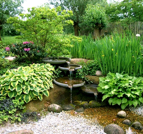 hosta03